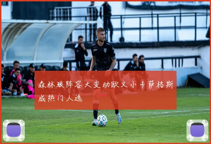 森林狼阵容大变动欧文小卡萨格斯成热门人选